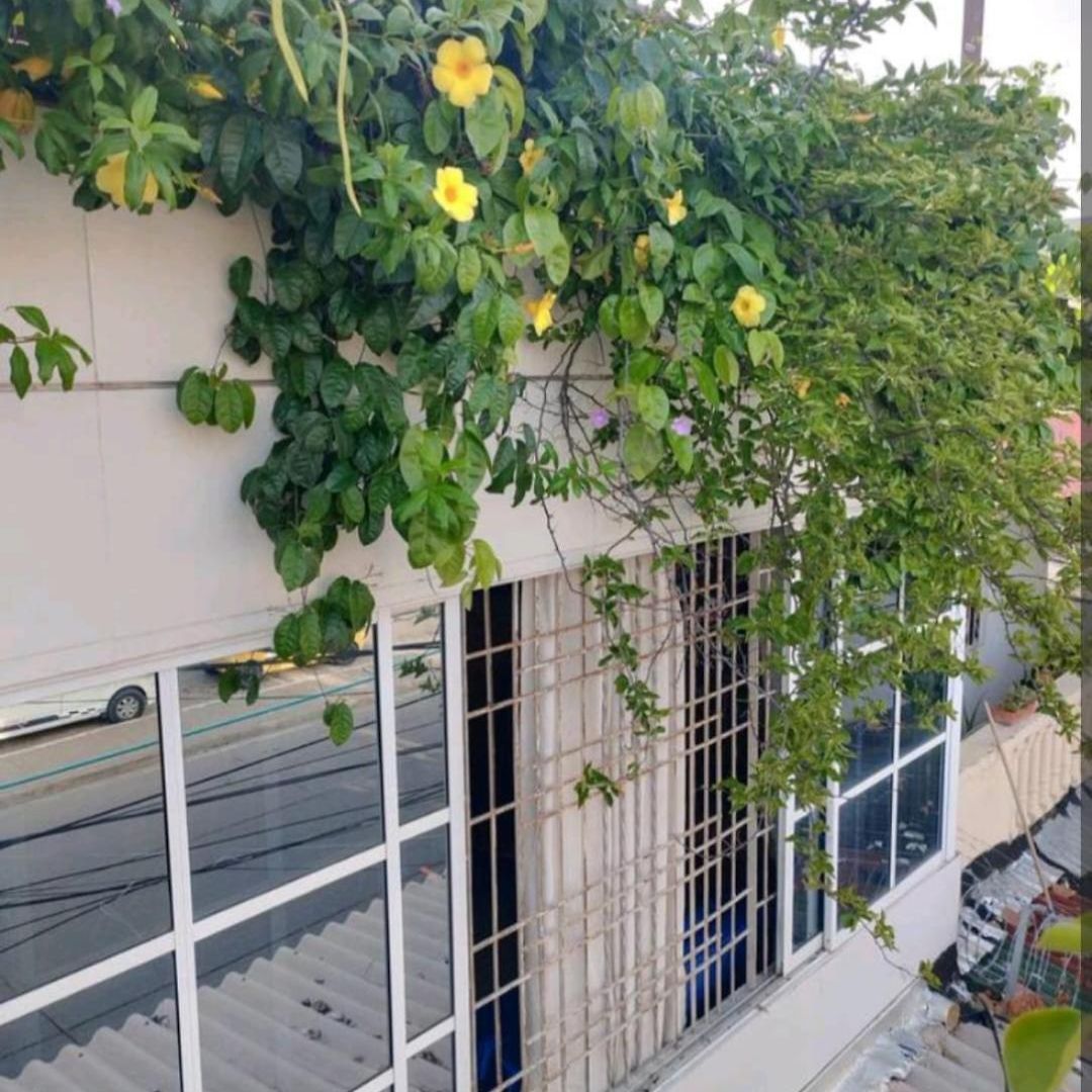 Apartamento Casa Castillo San Felipe *